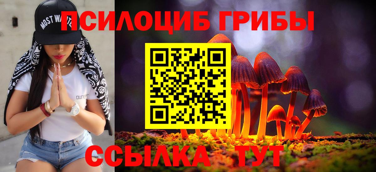 как найти   Галлюциногенные грибы Psilocybe  Галлюциногенные грибы мицелий  Вход с VPN  Белая Калитва 